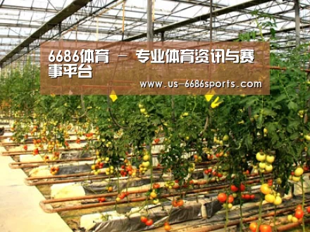 种植基地二