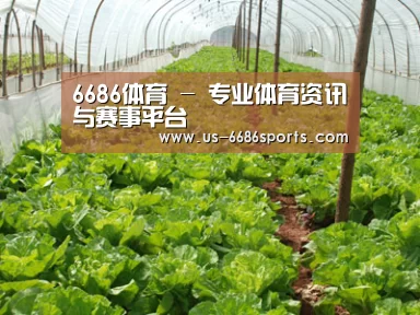 种植基地五