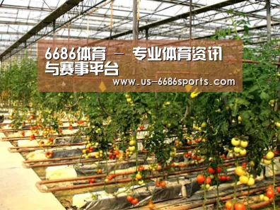 种植基地二(图1)